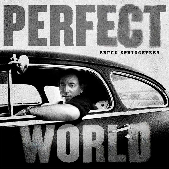 Cover Springsteen Perfect World