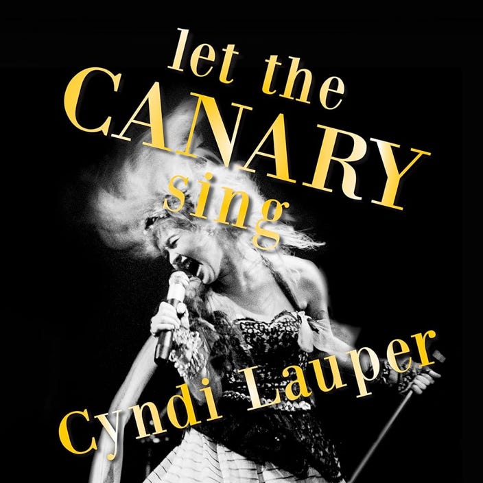 Cyndi Lauper – Let The Canary Sing Cover